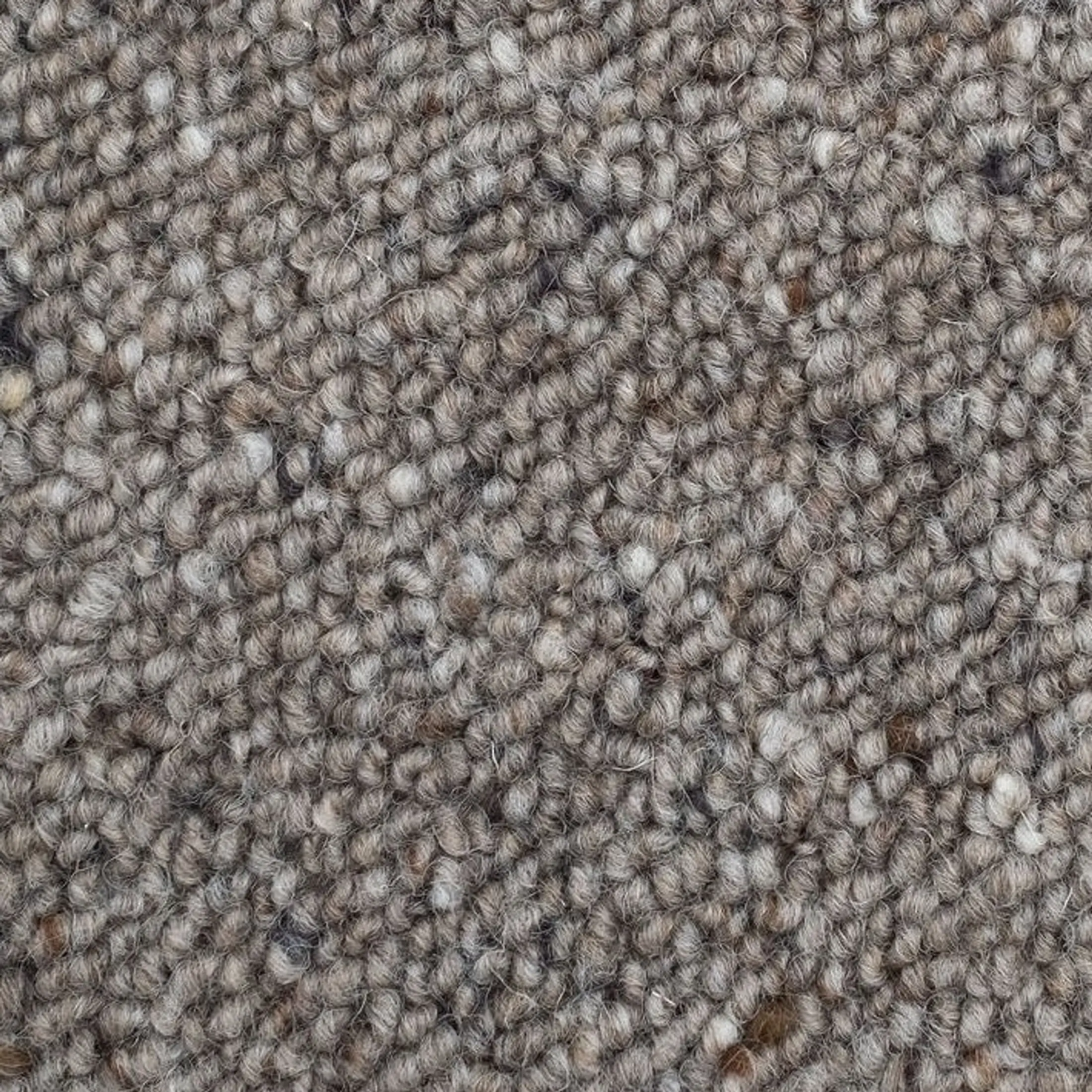 Godfrey Hirst Lambton Quay Mushroom Swatch