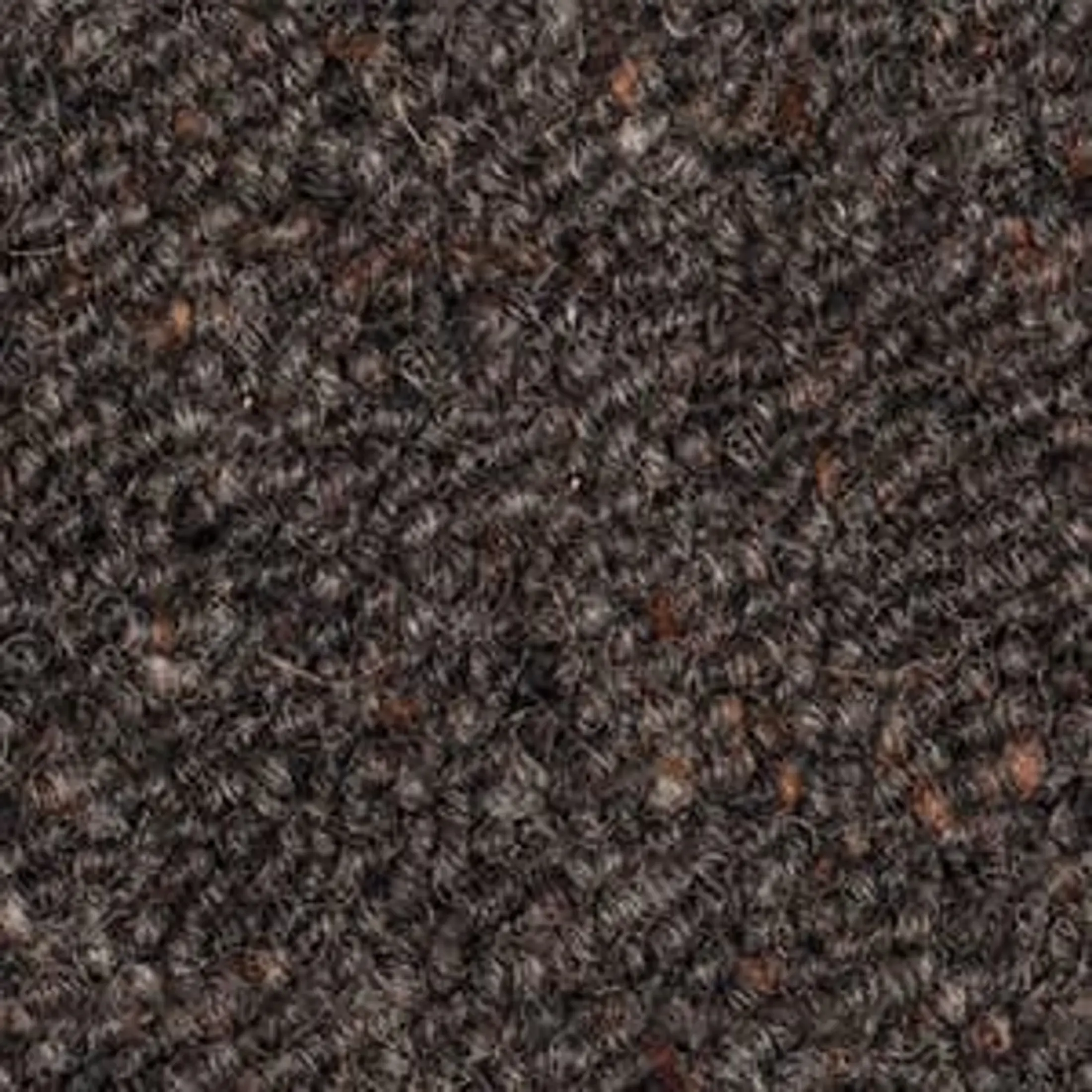 Lambton Quay Driftwood580